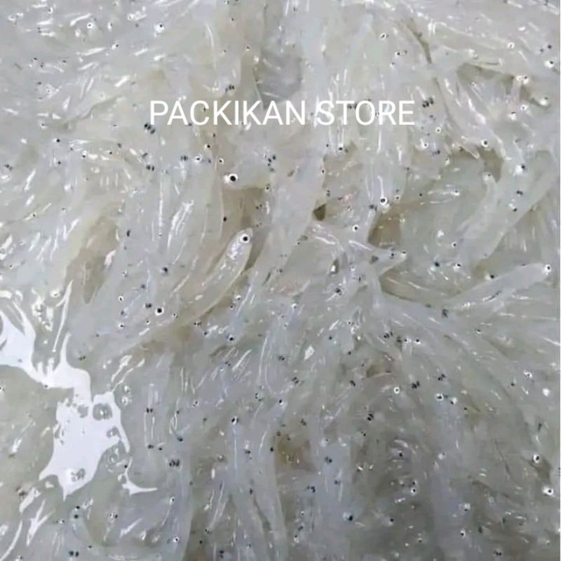 

Ikan Teri Tawar MPASI 1 kg