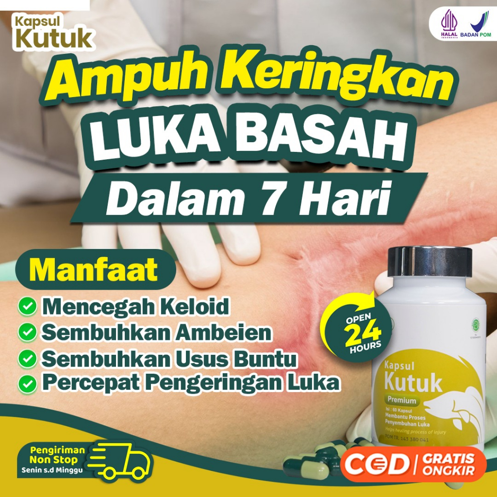 Kapsul Kutuk Premium - Ekstrak Ikan Gabus Albumin Operasi Caesar Sesar Diabetes Diabet Usus Buntu Ambeien Terapi Ginjal Tbc Hepatitis Hiv Luka Bakar Isi 60 Kapsul