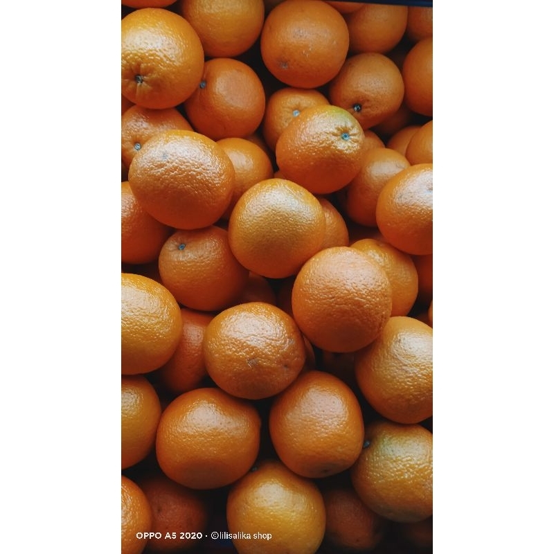 JERUK HONEY MURCOTT MANDARIN