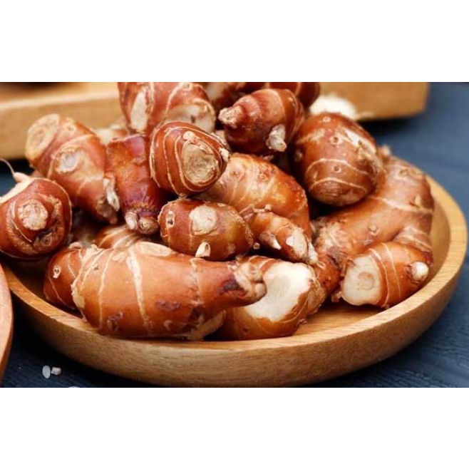 

Kencur 500gram 1kg Dari Hasil Alam