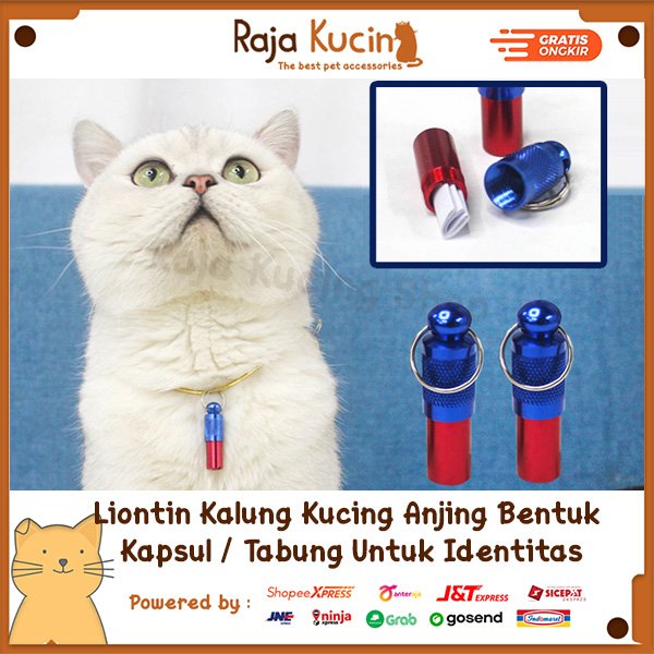 Liontin Kalung Kucing Anjing Bentuk  Kapsul / Tabung Untuk Identitas