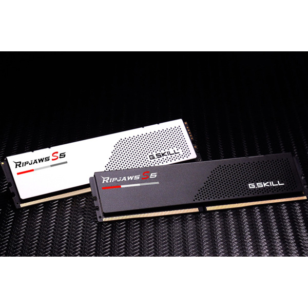 Gskill DDR5 Ripjaws S5 5600MHz 96GB (2x48GB) F5-5600J4040D48GX2-RS5K