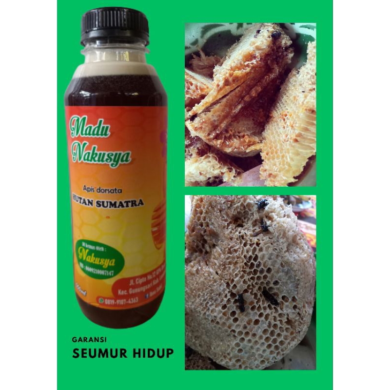 

madu sialang (hutan sumatra)