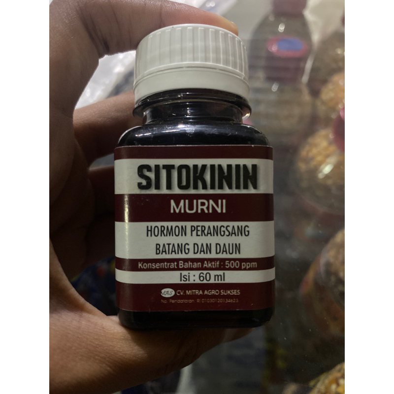 SITOKININ Murni Hormon PERANGSANG Batang daun