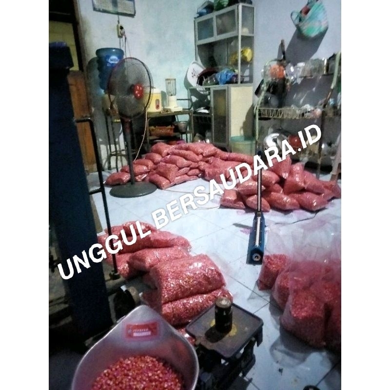 BIBIT JAGUNG UNGGUL SAHABAT PETANI