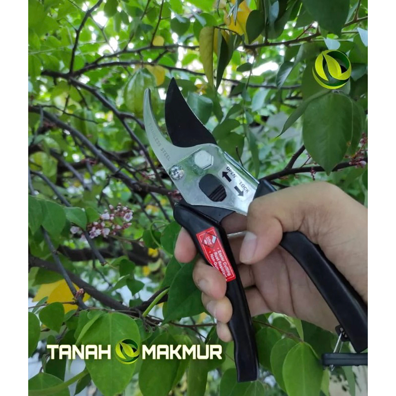 Gunting Dahan stainless Fukuda gunting Ranting Batang Daun Tanaman Bunga Bonsai