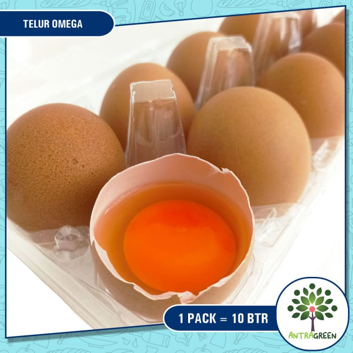 

TELUR OMEGA