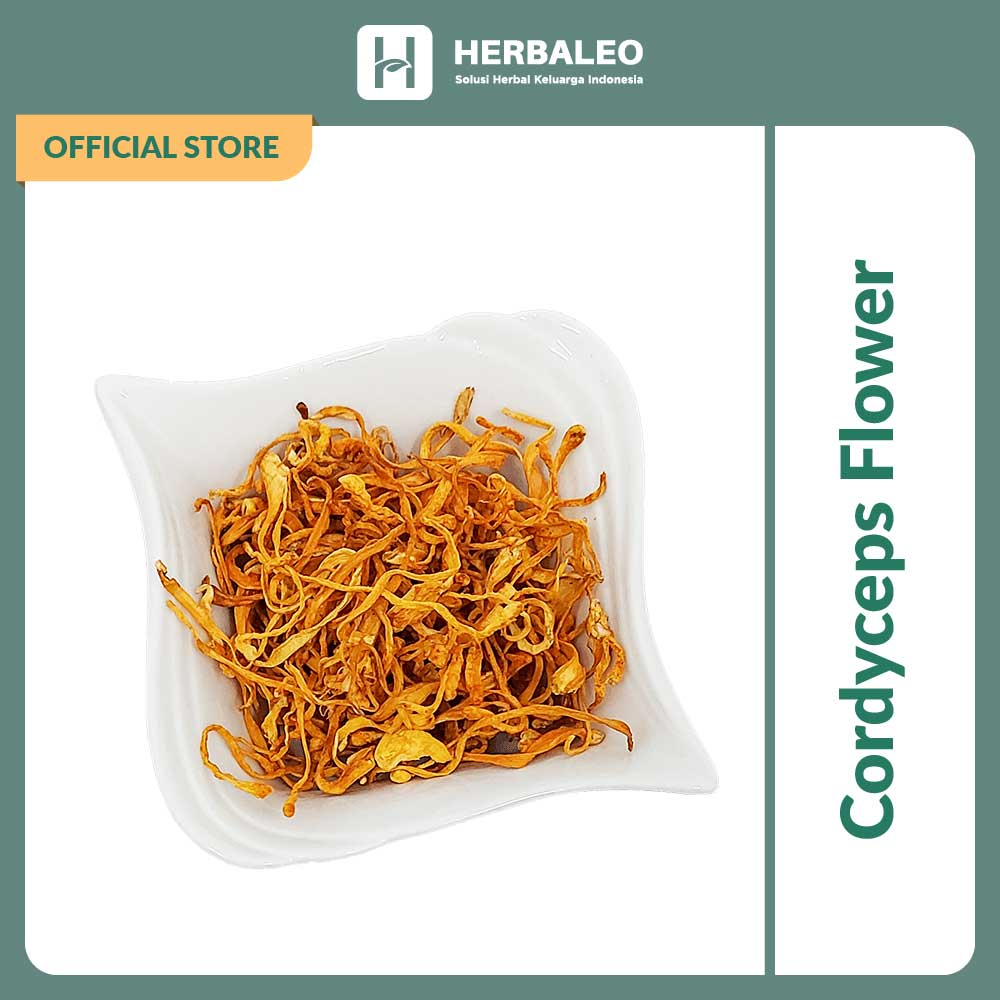 

Herbaleo - Cordyceps Flower / Jamur Bunga Cordyceps / Cong Cao Hua (虫草花 )