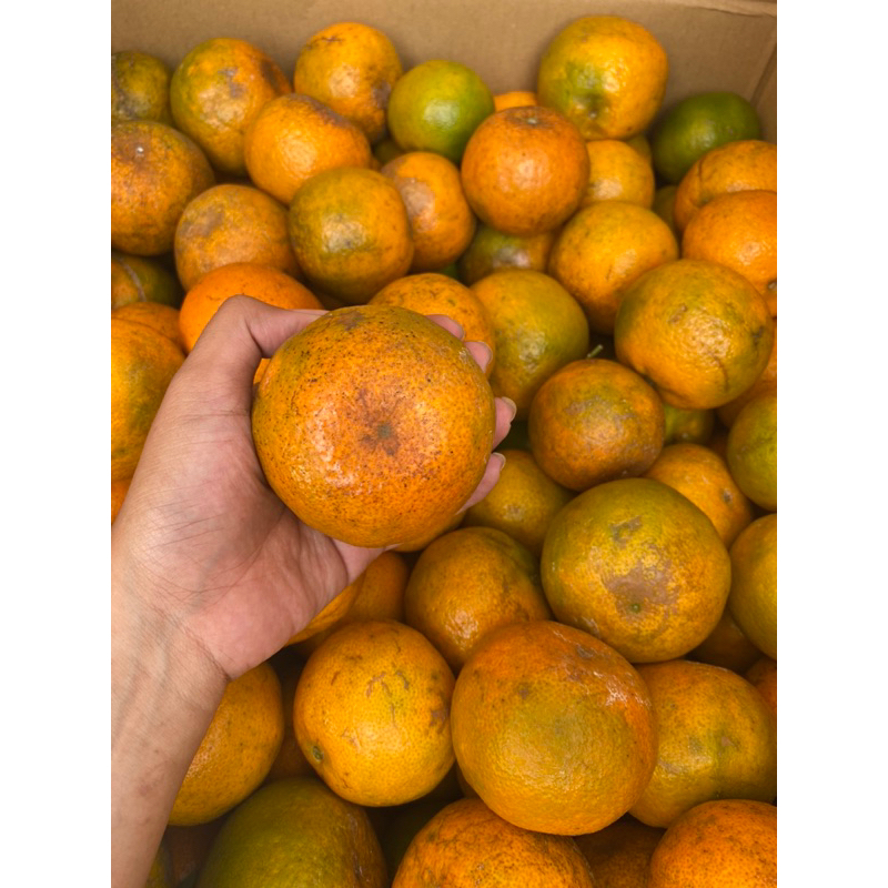 

Jeruk Keprok 55 Batu 1kg
