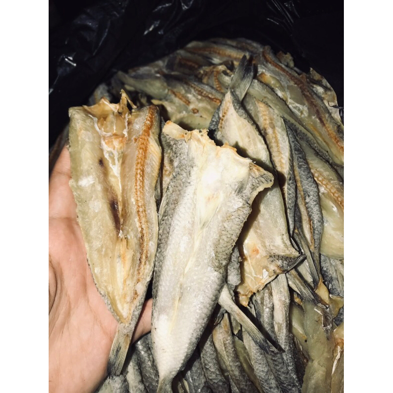 

IKAN ASIN GABUS LAUT KUALITAS TERBAIK TERMURAH