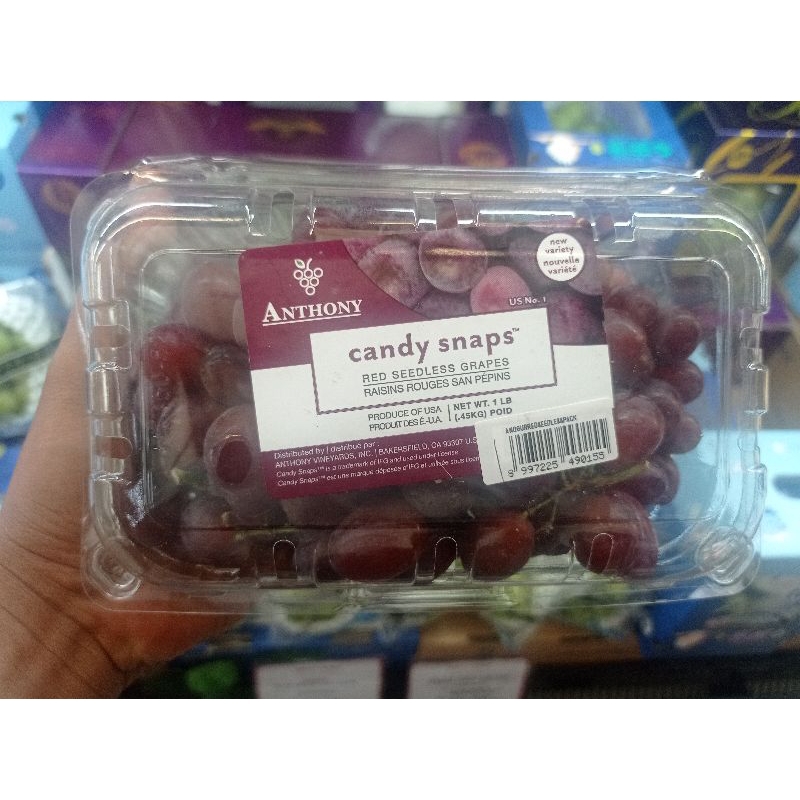 

Anggur Snap Candy red Seedlees tanpa biji 600 gr