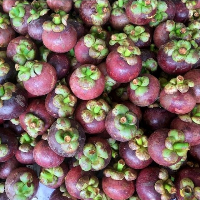 

Manggis Super/ 500gr - 1kg