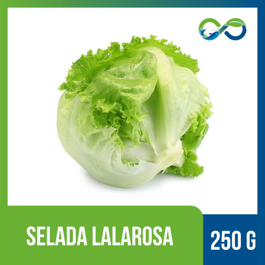 

Selada Lalarosa Premium by AquaEcoFarms Lokal Indonesia Bandung