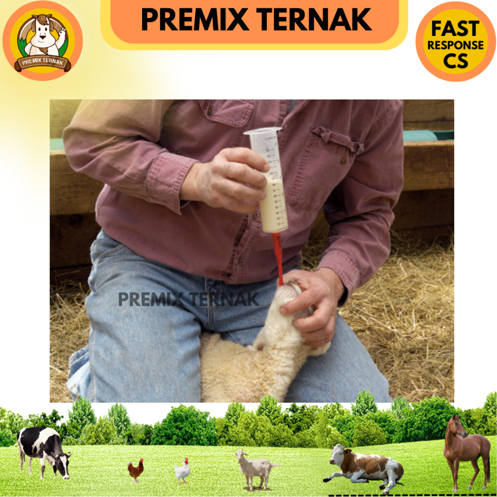 KARET TUBING CEMPE ANAK KAMBING DOMBA - Alat untuk Memasukkan Kolostrum dan susu ke perut cempe