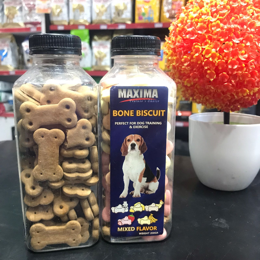 MAXIMA BISCUITS || SNACK ANJIING