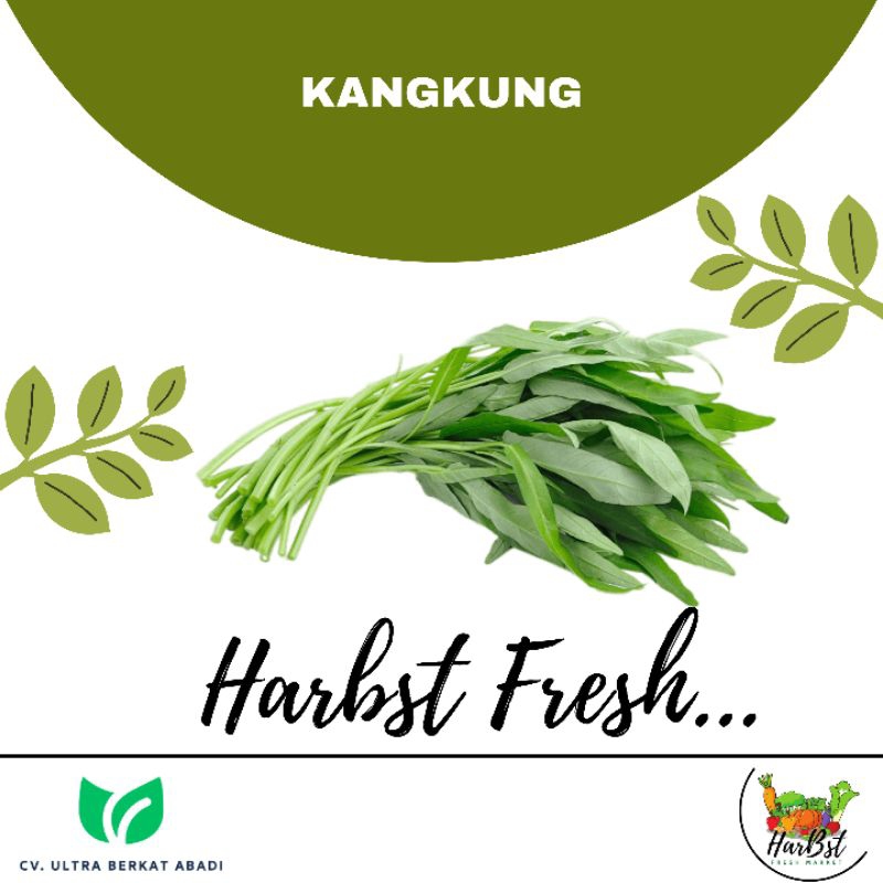 

KANGKUNG /ikat