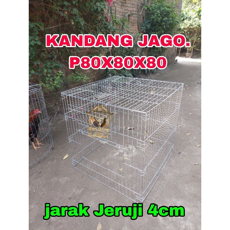 SANGKAR JEMUR AYAM