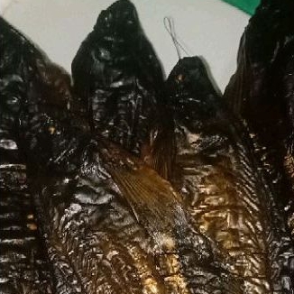

Ikan Salai Selais Riau 250gr