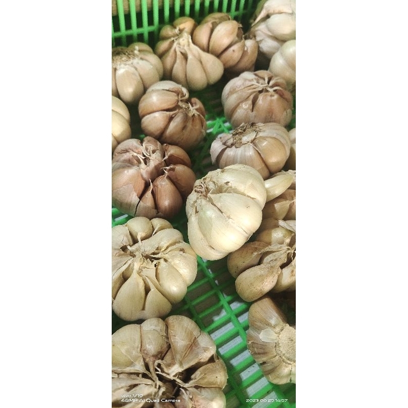 

Bawang Putih 500gr