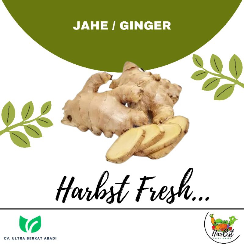 

Jahe / Ginger 250gr