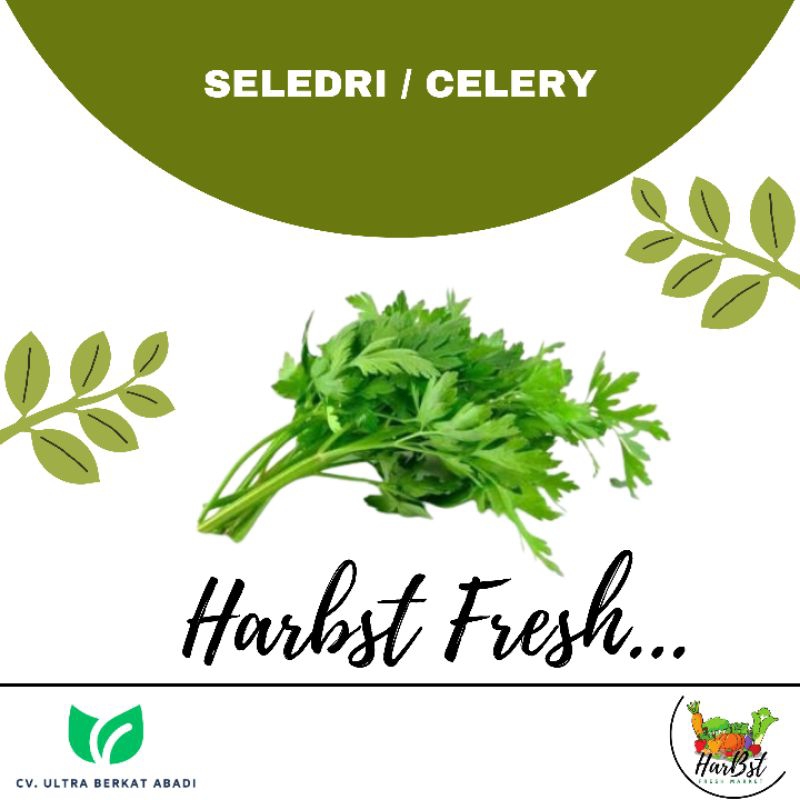 

Seledri 200gr