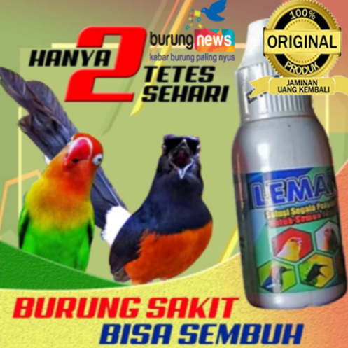 Vitamin Burung dan Obat Burung Sakit LEMANS Untuk Murai Batu Lovebird Kenari Semua Jenis Burung Reko