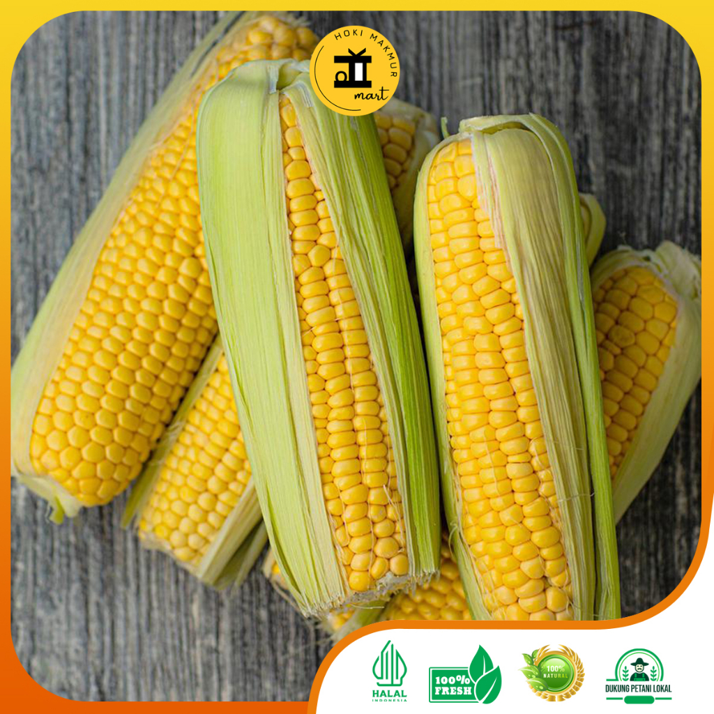 

JAGUNG MANIS PREMIUM 1 PCS