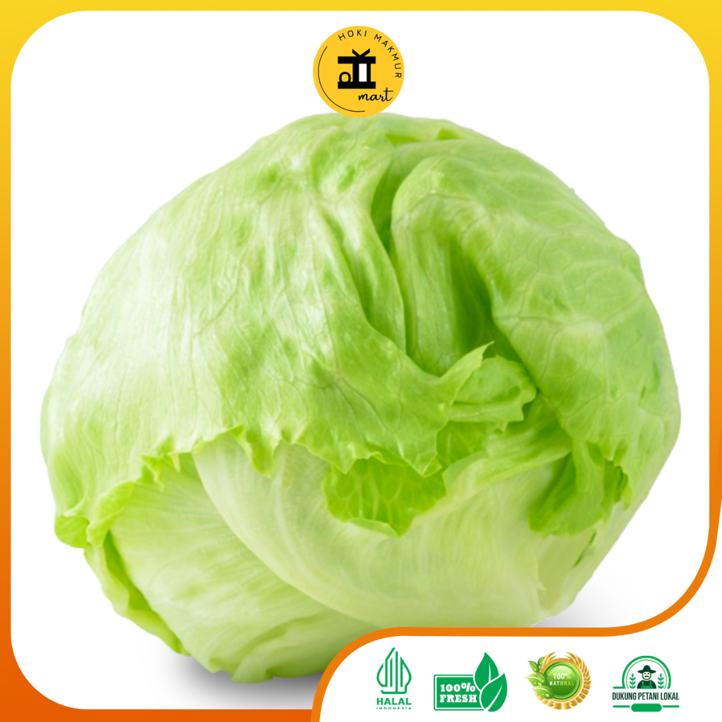 

LETTUCE PREMIUM 500 - 1Kg