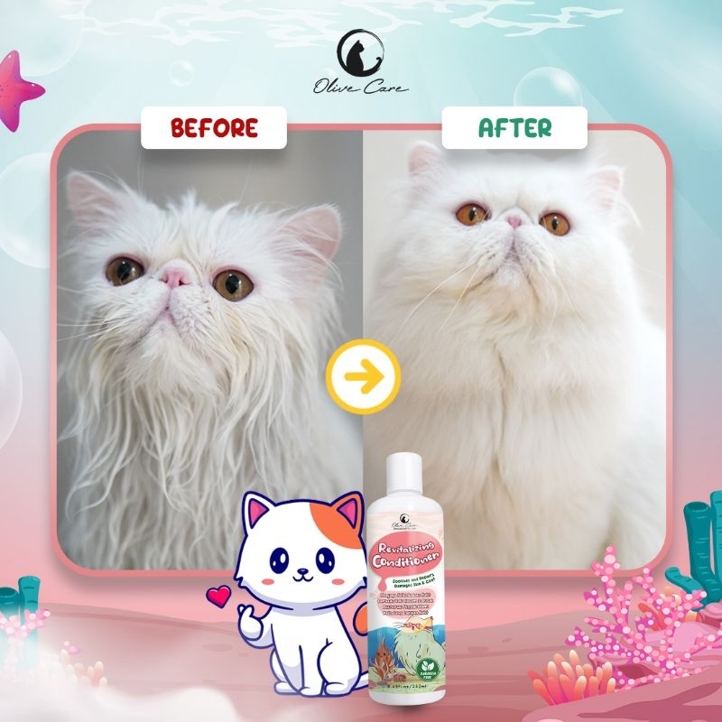 OLIVE CARE SHAMPO KUCING REVITALIZING CONDITIONER