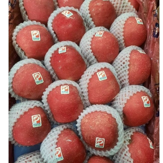 

Apel Fuji Premium 1 Box