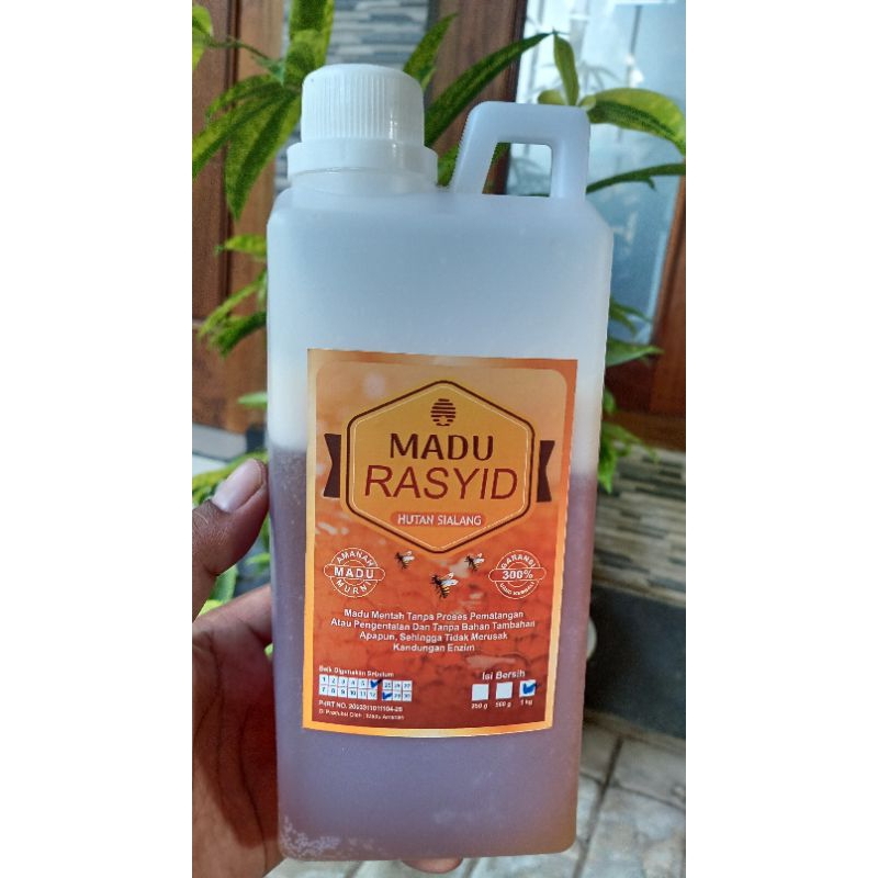 

Madu Hutan Sialang, Madu Murni hutan, Madu rasyid