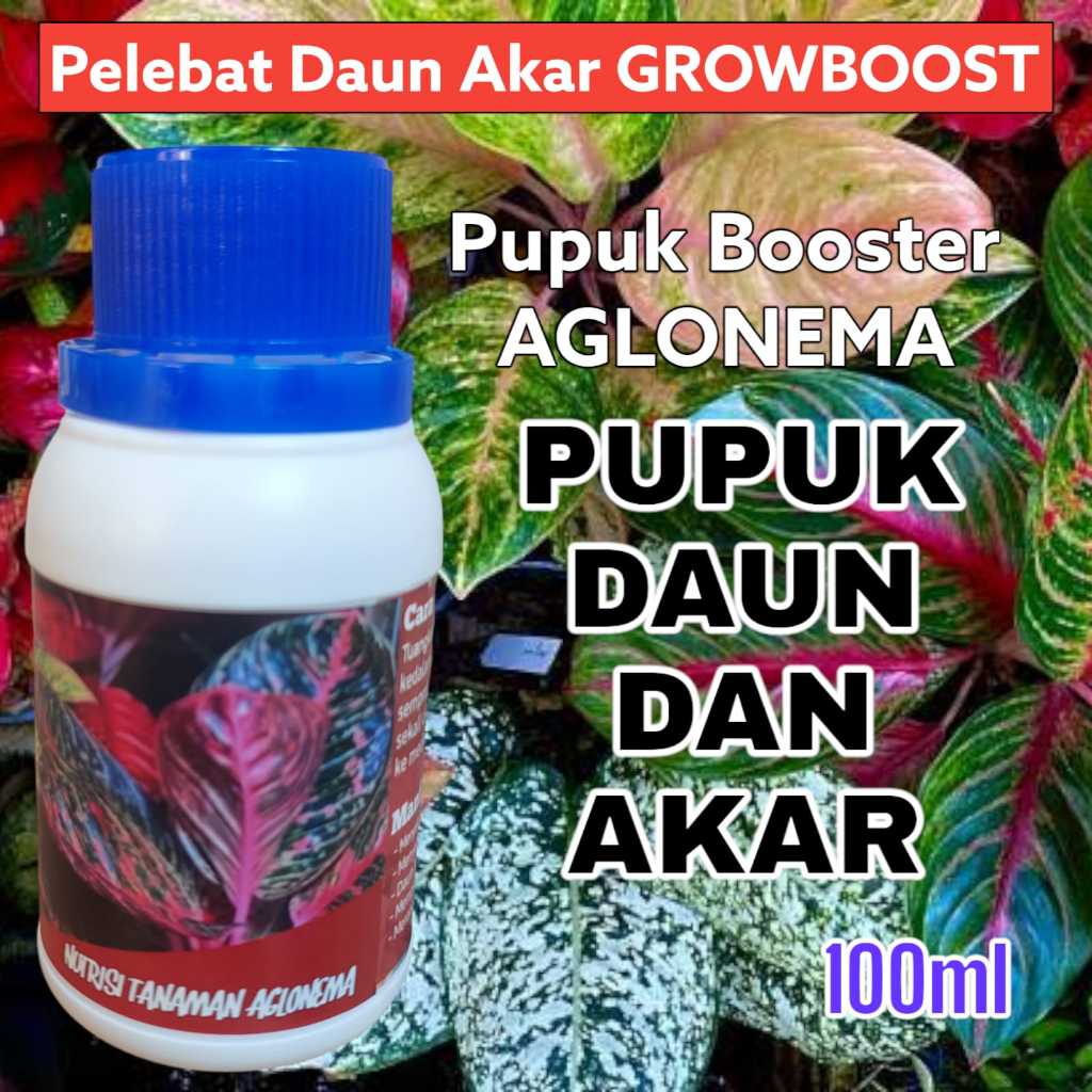 Pupuk Aglonema Premium Organik GrowBoost Pupuk Tanaman Hias 100ml