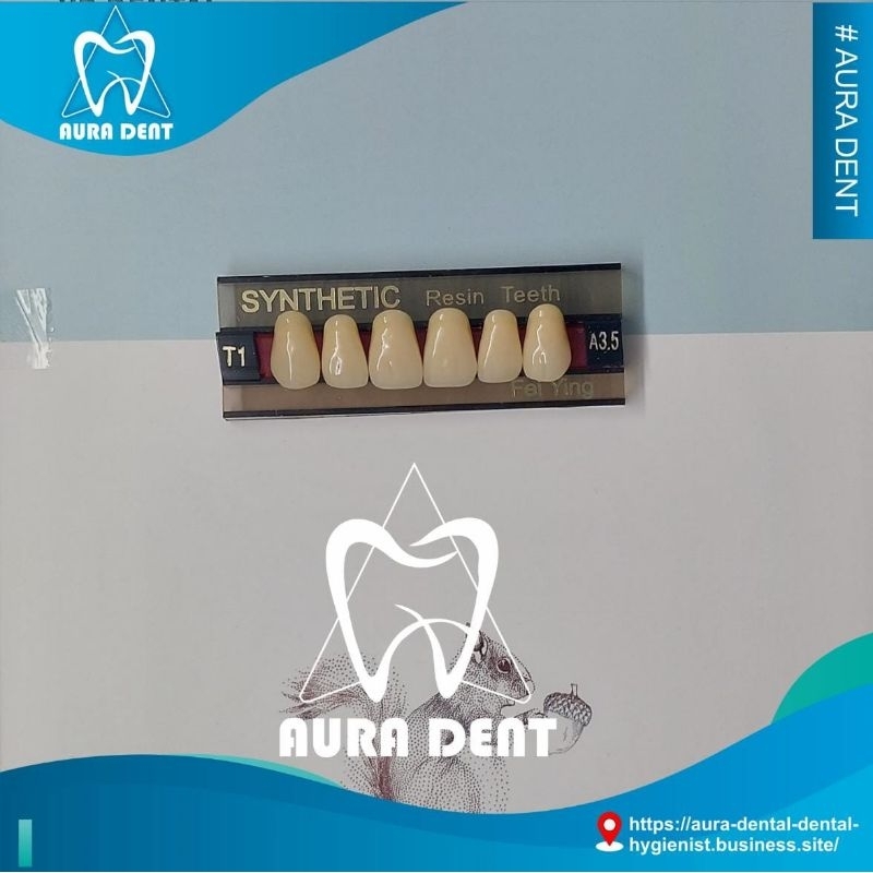 Gigi Palsu Depan Atas Anterior Merk Synthetic Resin Teeth Satuan