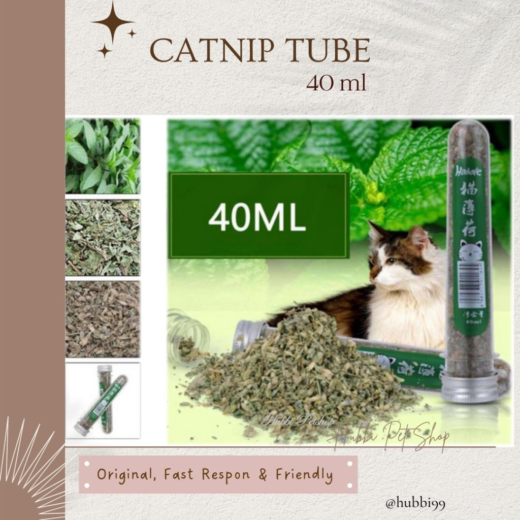 Catnip kucing 40ml Daun Cat Mint bubuk kucing