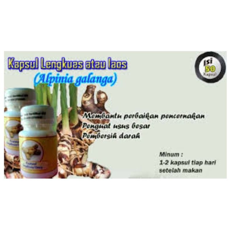 Kapsul Lengkuas atau Laos