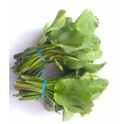 

Daun Genjer 1 Ikat