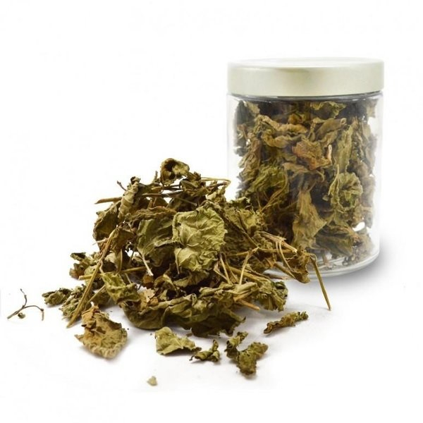 

Simplisia Daun Seribu Kering Best Quality 100 g