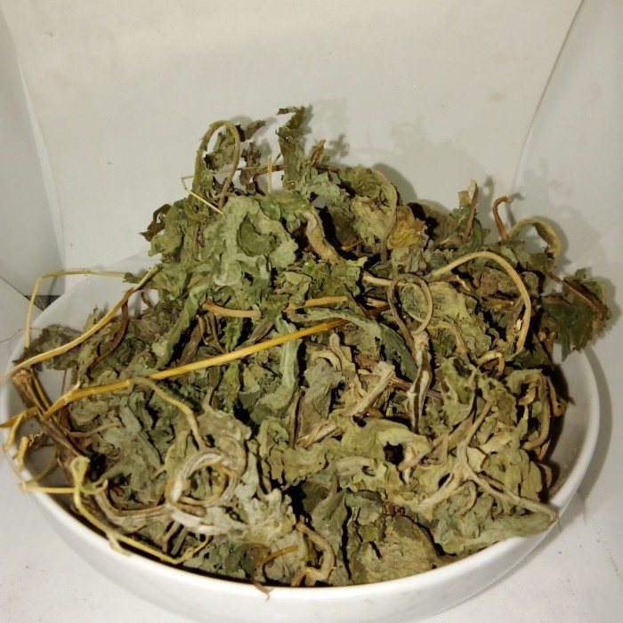 

Daun Insulin Kering 100gram Untuk Diabetes