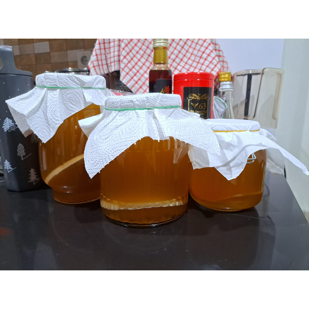 

SCOBY 6,5-10cm, tebal 1cm, belum termasuk starter tea