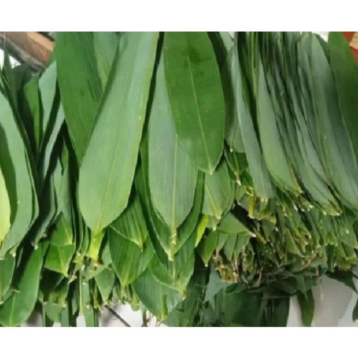 

DauUUUNN bambu segarRRRRRR''\['\