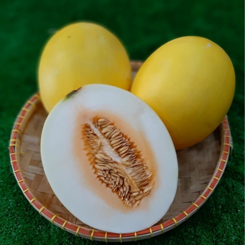

Melon Goldn Sunpride Manis 1pcs