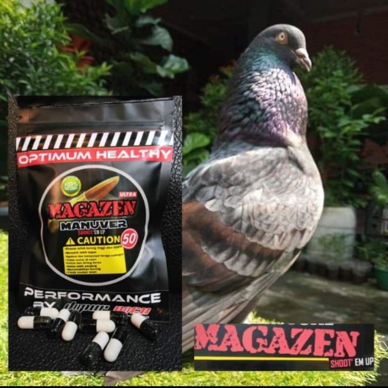 Magazen Manuver khusus merpati yg karakter tinggi /jamu suplemen merpati kolong