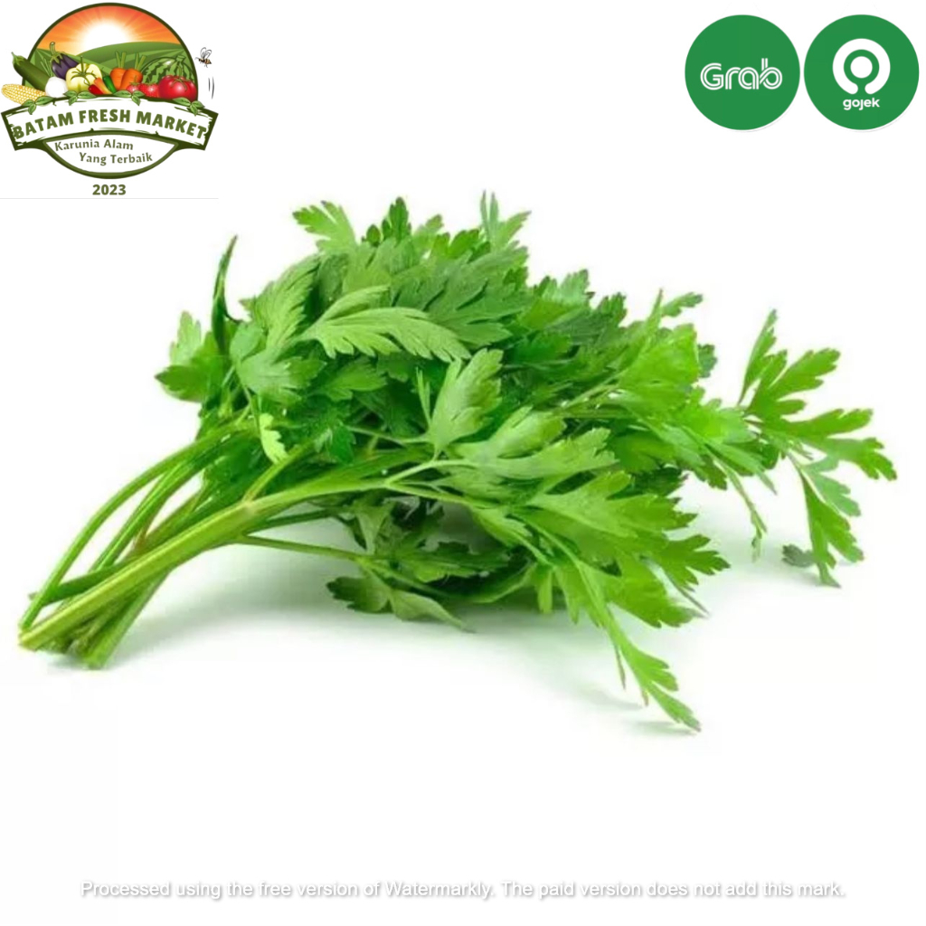 

Daun Sledri / Daun Sop Fresh