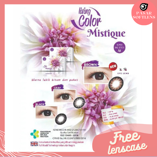 SOFTLENS MISTIQUE NORMAL BIG EYES FREE LENSCASE