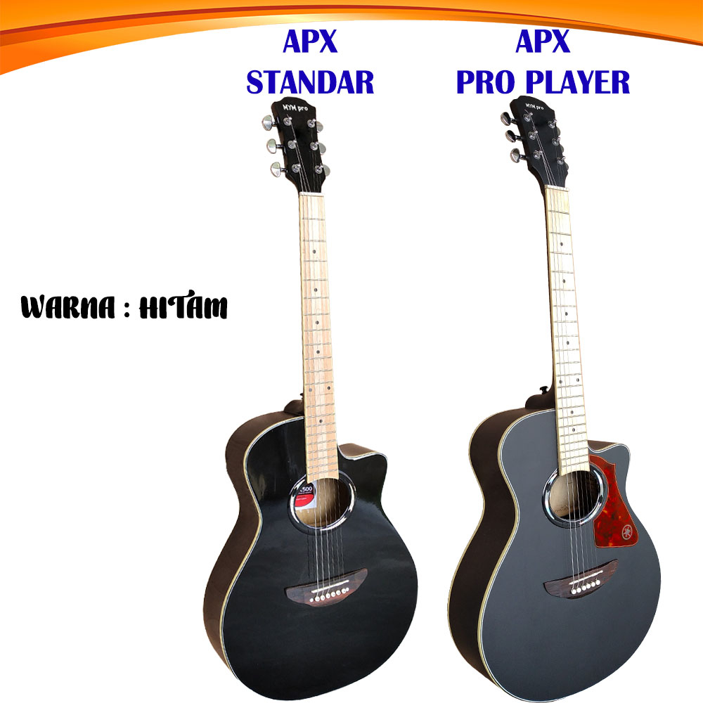 Gitar Akustik Elektrik 7545r Apx 500 Bonus Komplit Free Packing Kayu