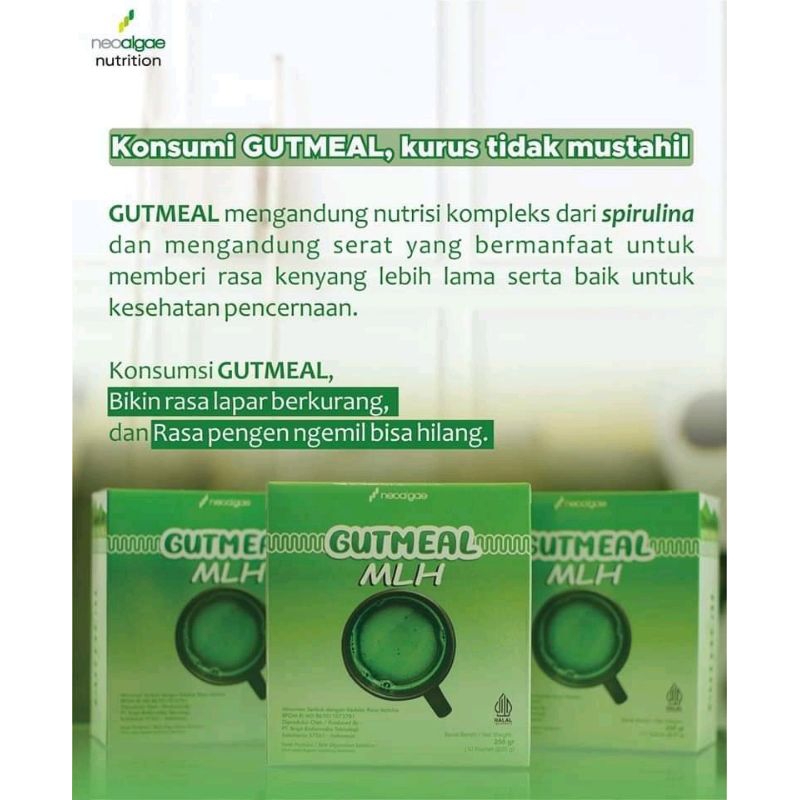 

GUTMEAL MLH (solusi untuk program diet)