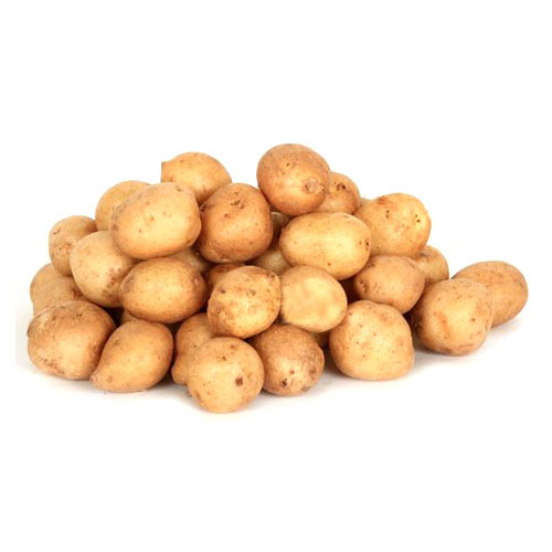 

Baby Potato Kentang Kecil