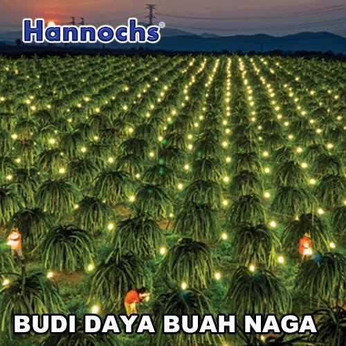 Lampu Hannochs Multipack Spiral 2 gratis 1 XP cahaya kuning warm white