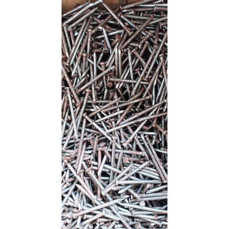 paku kayu 5cm