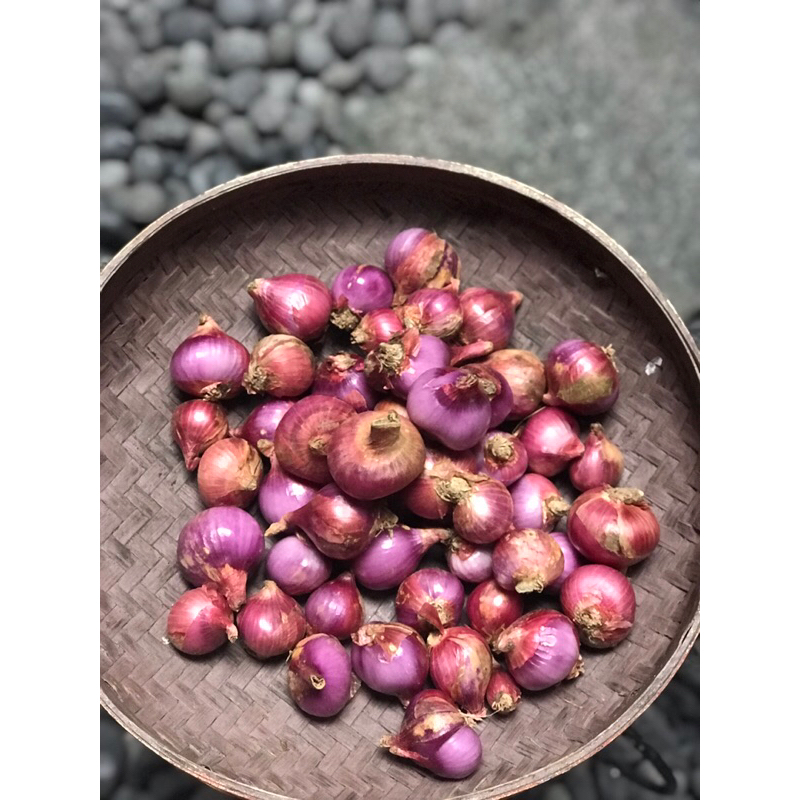 

bawang merah lokal
